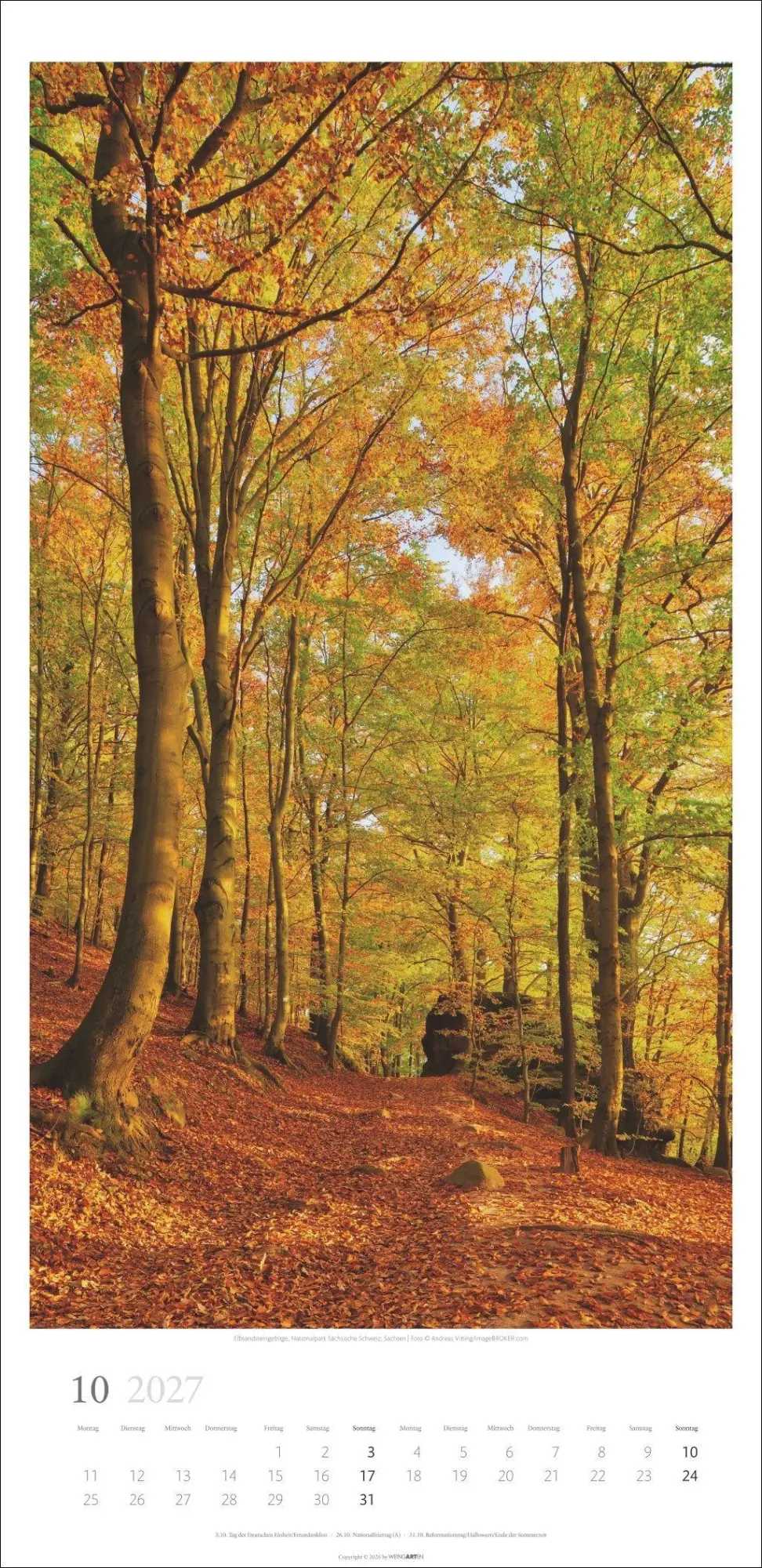 Bild: 9783839903797 | Im Wald Kalender 2027 | Kalender | Spiralbindung | 14 S. | Deutsch