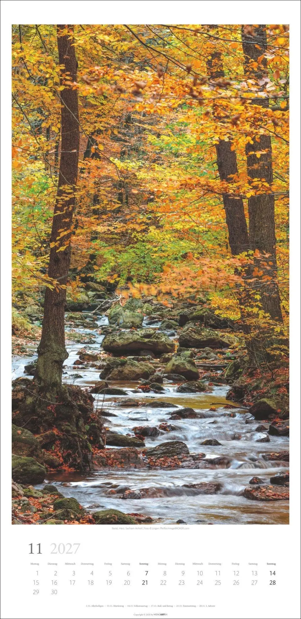 Bild: 9783839903797 | Im Wald Kalender 2027 | Kalender | Spiralbindung | 14 S. | Deutsch