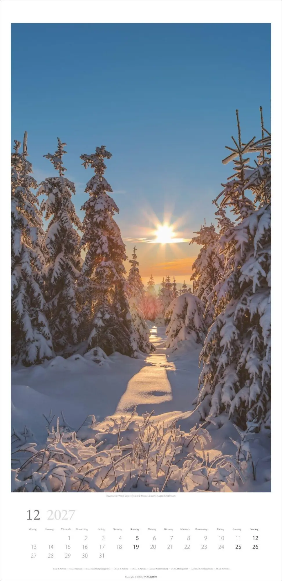 Bild: 9783839903797 | Im Wald Kalender 2027 | Kalender | Spiralbindung | 14 S. | Deutsch