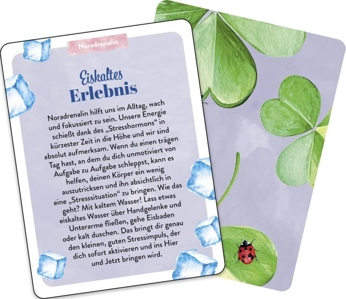 Bild: 9783848503797 | Inspirationskarten: Aktiviere deine Glücksgefühle | Julia Buck | Buch