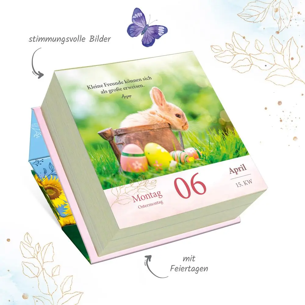 Bild: 9783988023797 | Trötsch Geschenkkalender Abreißkalender Glückliche Tage 2026 | KG