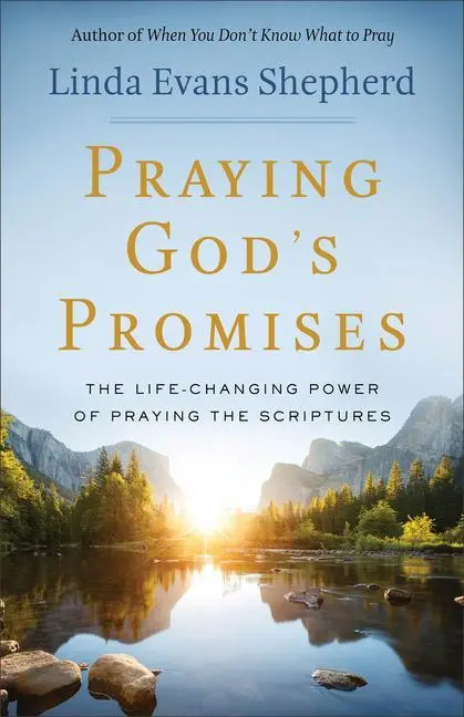 Cover: 9780800723897 | Praying God's Promises | Linda Evans Shepherd | Taschenbuch | Englisch