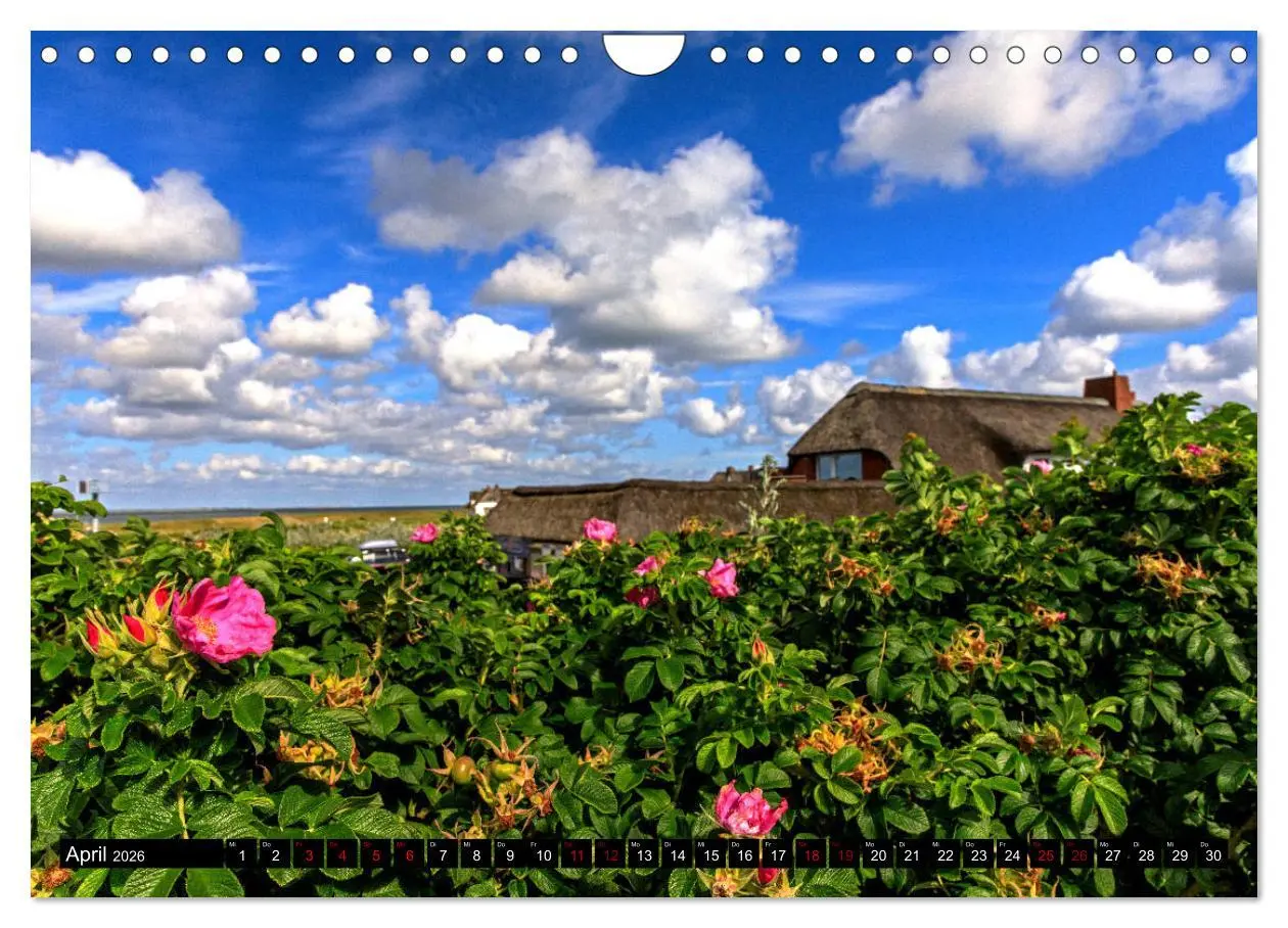 Bild: 9783457823897 | Magisches Sylt (Wandkalender 2026 DIN A4 quer), CALVENDO...