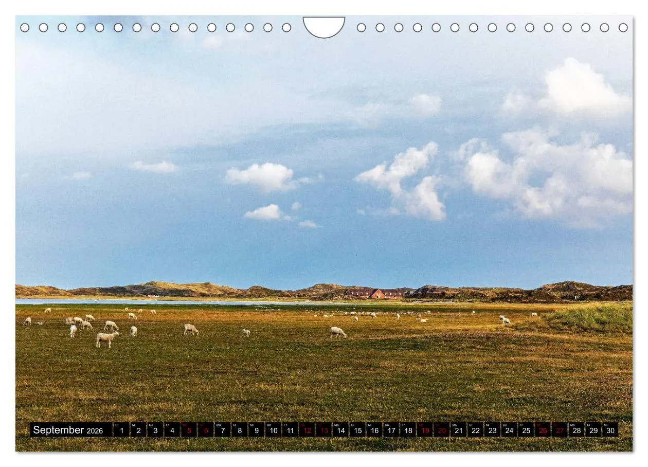 Bild: 9783457823897 | Magisches Sylt (Wandkalender 2026 DIN A4 quer), CALVENDO...