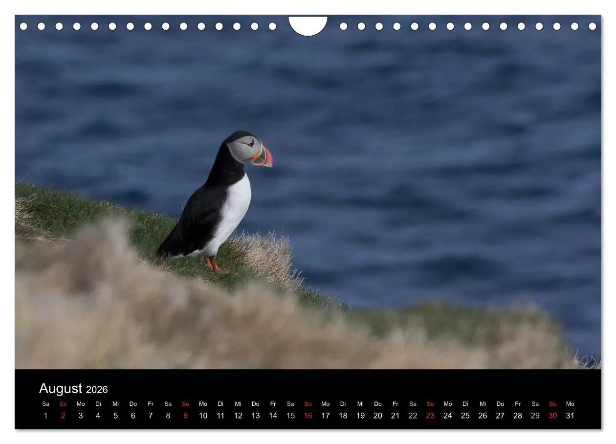 Bild: 9783457993897 | Eindrücklich Island 2026 (Wandkalender 2026 DIN A4 quer), CALVENDO...