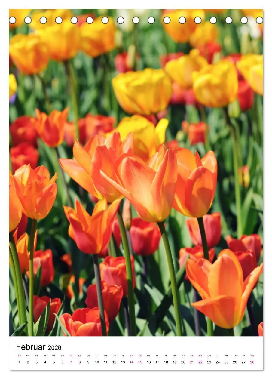 Bild: 9783516393897 | Gärtners Lieblinge - Vielfalt der Stauden im Garten (Tischkalender...