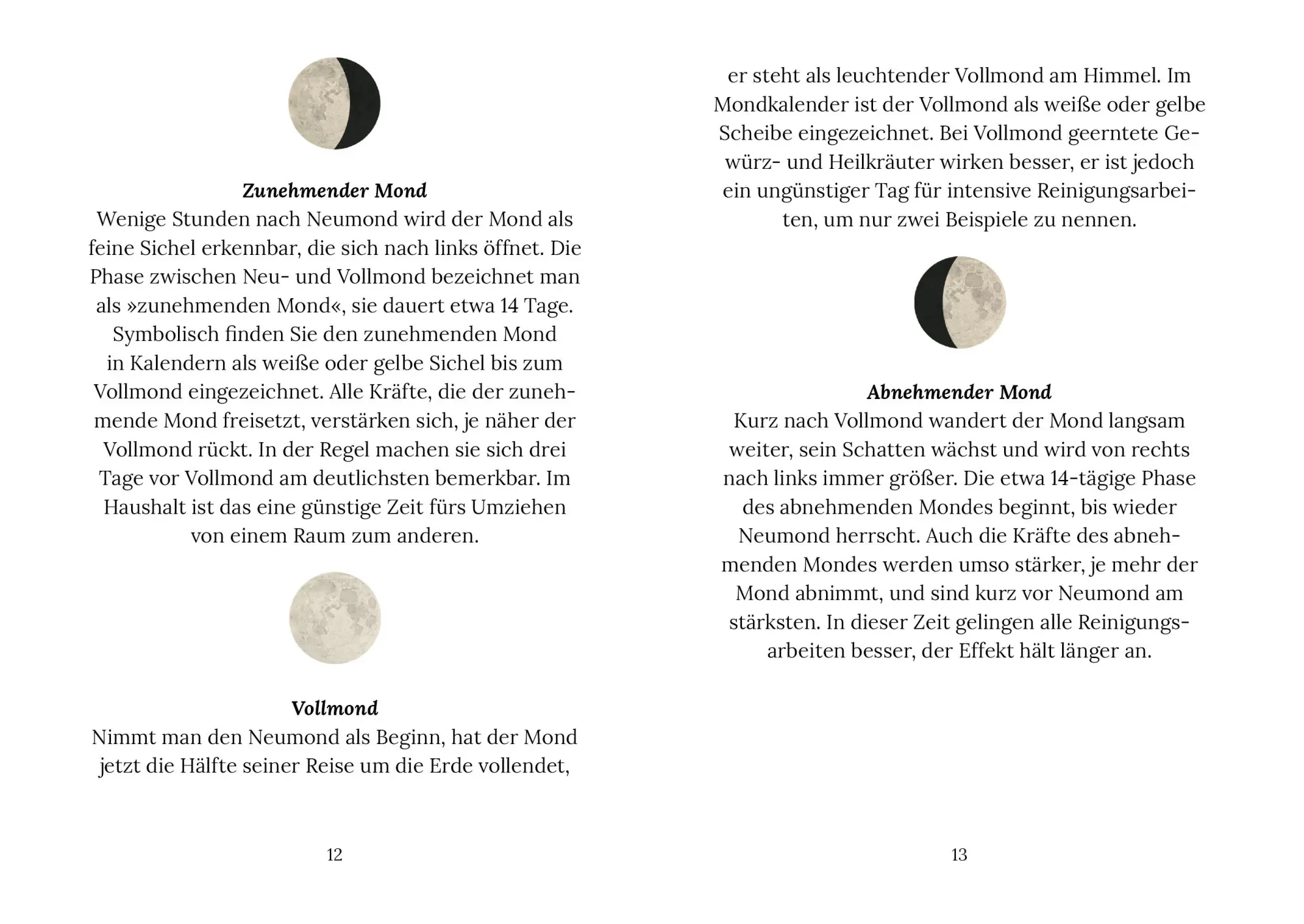 Bild: 9783710403897 | Haushalt und Alltag im Einklang mit dem Mond | Paungger (u. a.) | Buch