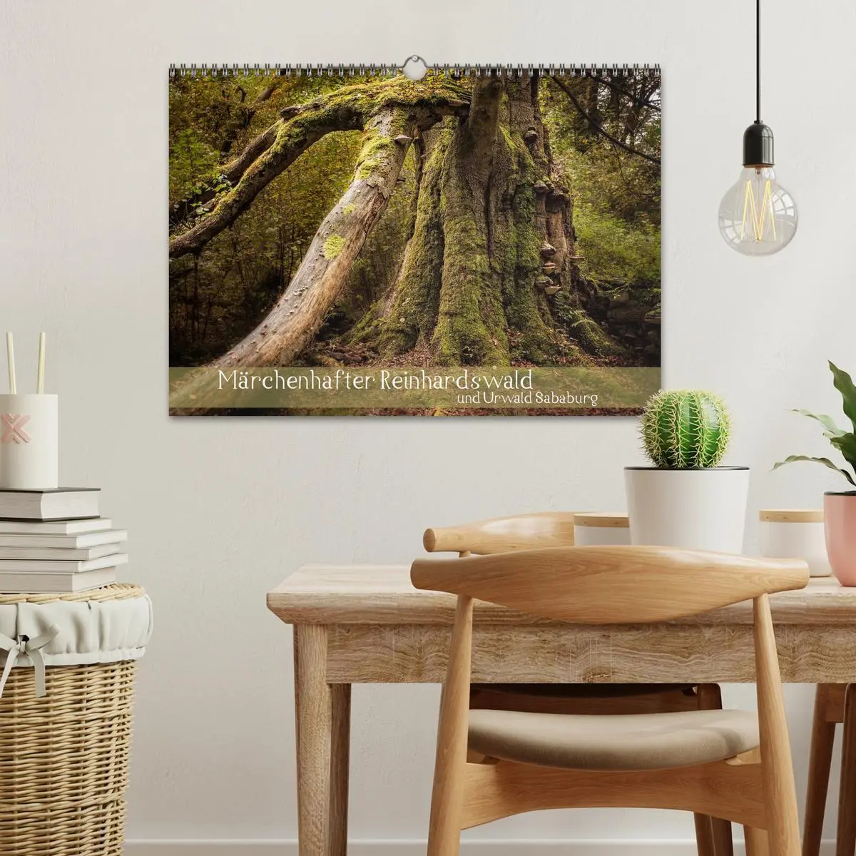 Bild: 9783516073997 | Märchenhafter Reinhardswald und Urwald Sababurg (Wandkalender 2026...