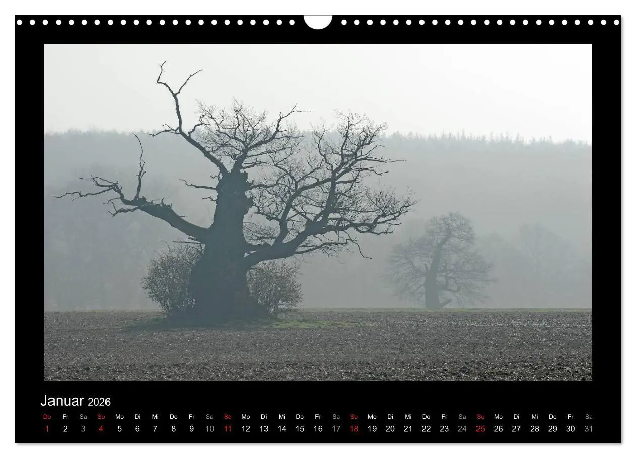 Bild: 9783516073997 | Märchenhafter Reinhardswald und Urwald Sababurg (Wandkalender 2026...