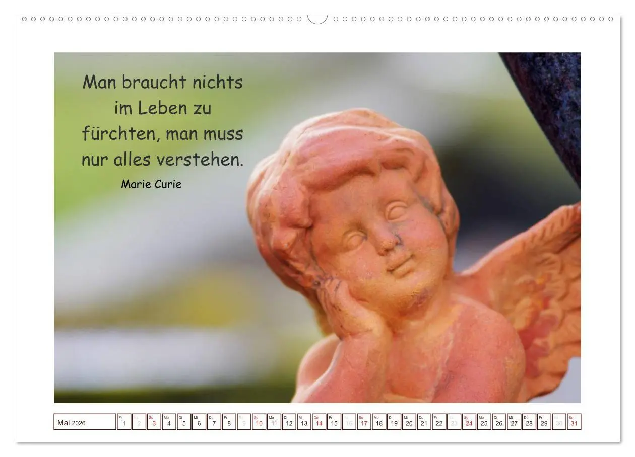 Bild: 9783516143997 | Engel-Kalender mit Zitaten / CH-Version (hochwertiger Premium...