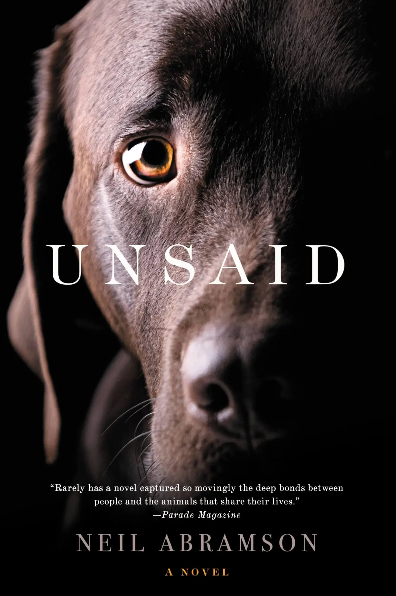 Cover: 9781599954097 | Unsaid | Neil Abramson | Buch | Gebunden | Englisch | 2012