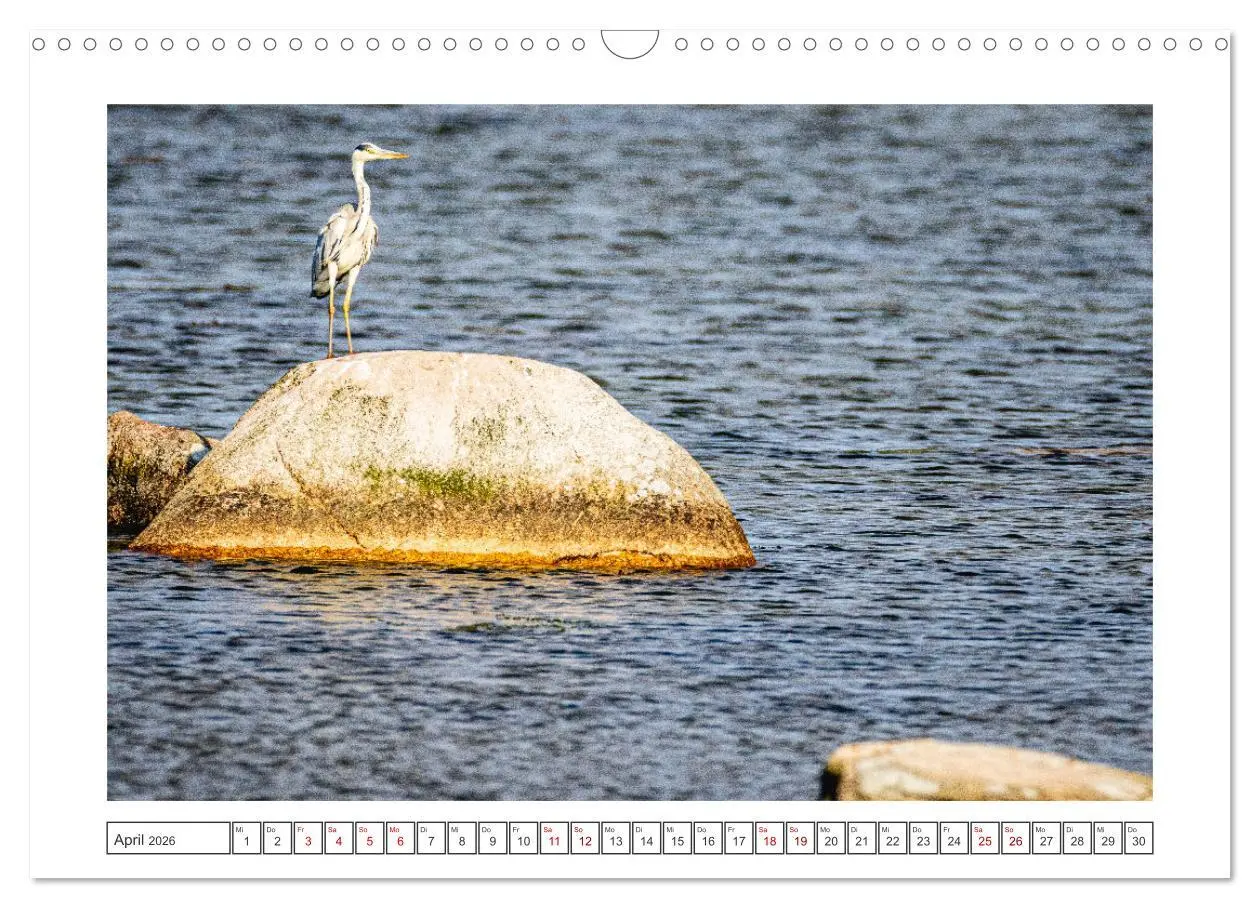 Bild: 9783457494097 | Lolland - Harmonie von Mensch und Natur (Wandkalender 2026 DIN A3...