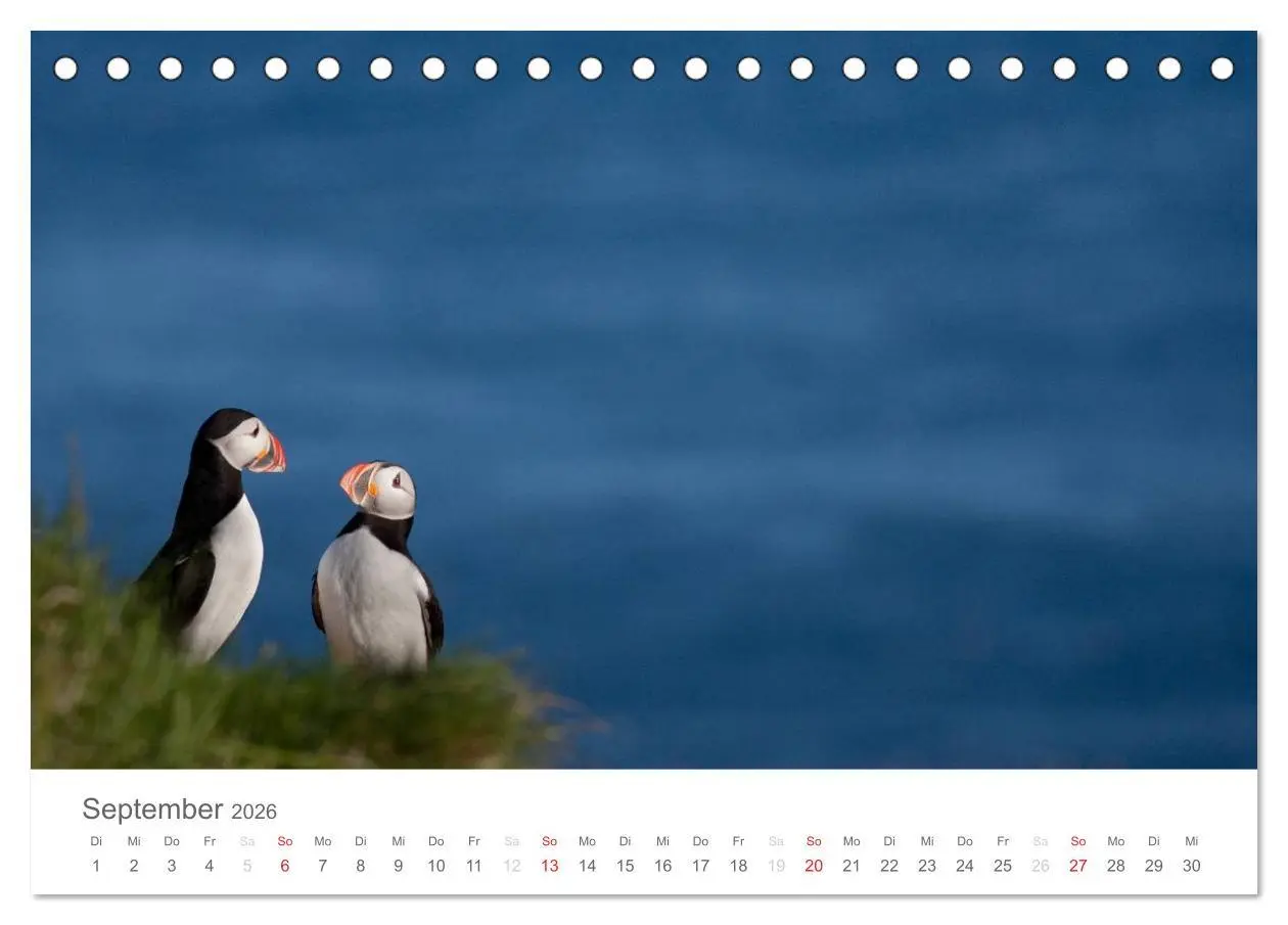 Bild: 9783516034097 | Skandinavien - Der mystische Norden (Tischkalender 2026 DIN A5...