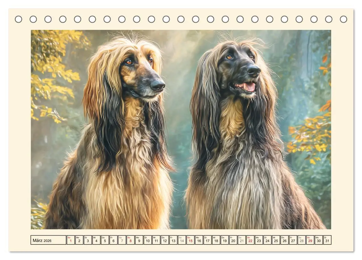 Bild: 9783516584097 | Afghanischer Windhund. Eleganter Sichtjäger und sensibler...