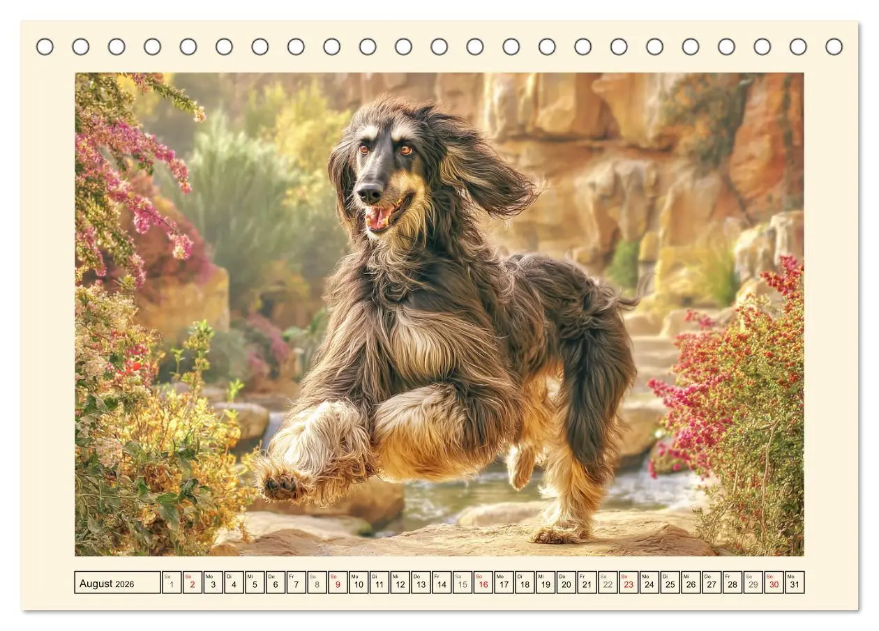 Bild: 9783516584097 | Afghanischer Windhund. Eleganter Sichtjäger und sensibler...