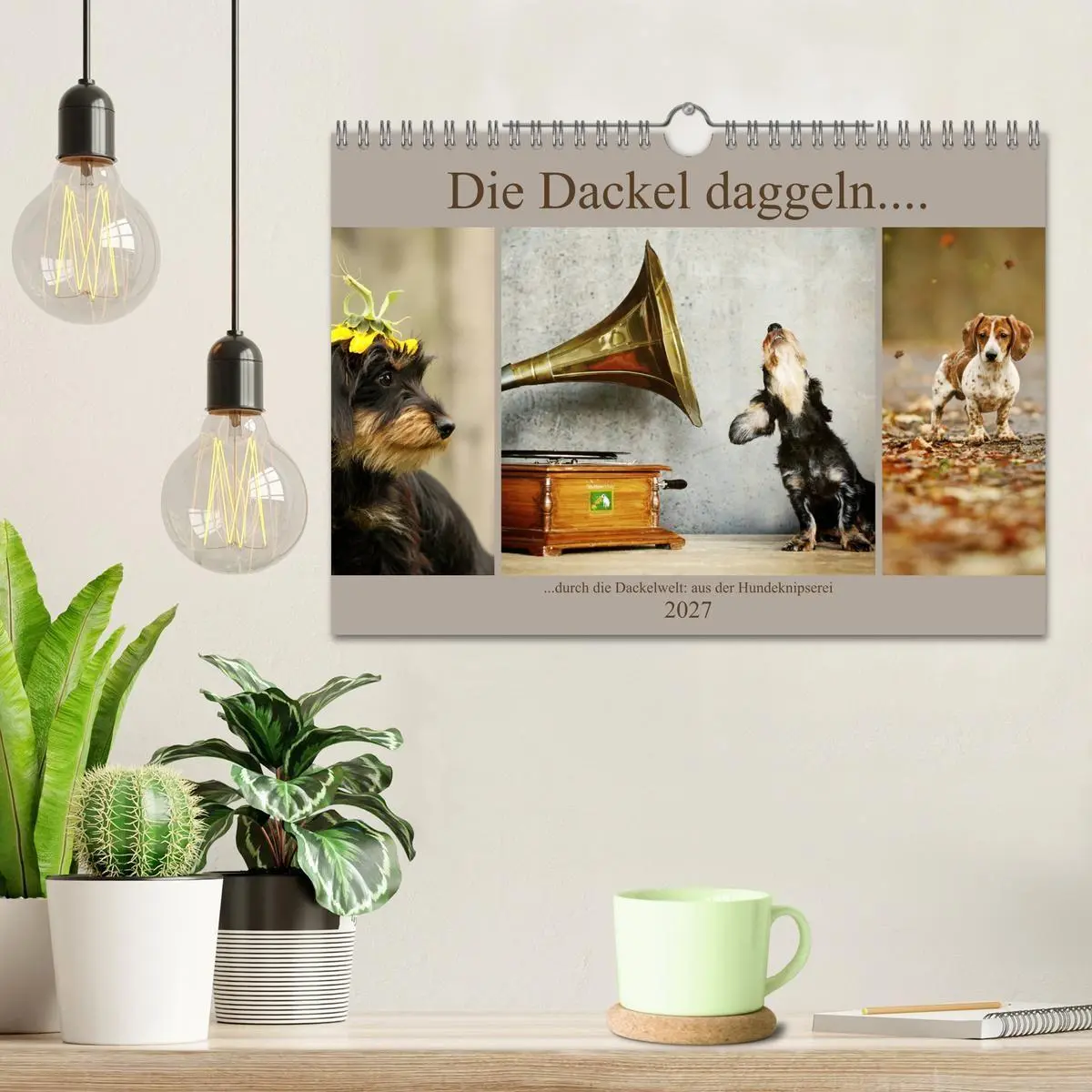 Bild: 9783569814097 | Die Dackel daggeln.... (Wandkalender 2027 DIN A4 quer), CALVENDO...