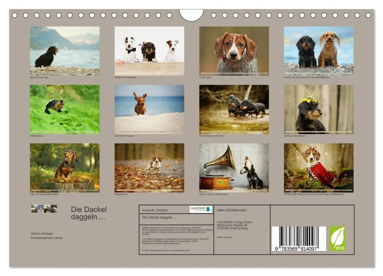 Bild: 9783569814097 | Die Dackel daggeln.... (Wandkalender 2027 DIN A4 quer), CALVENDO...