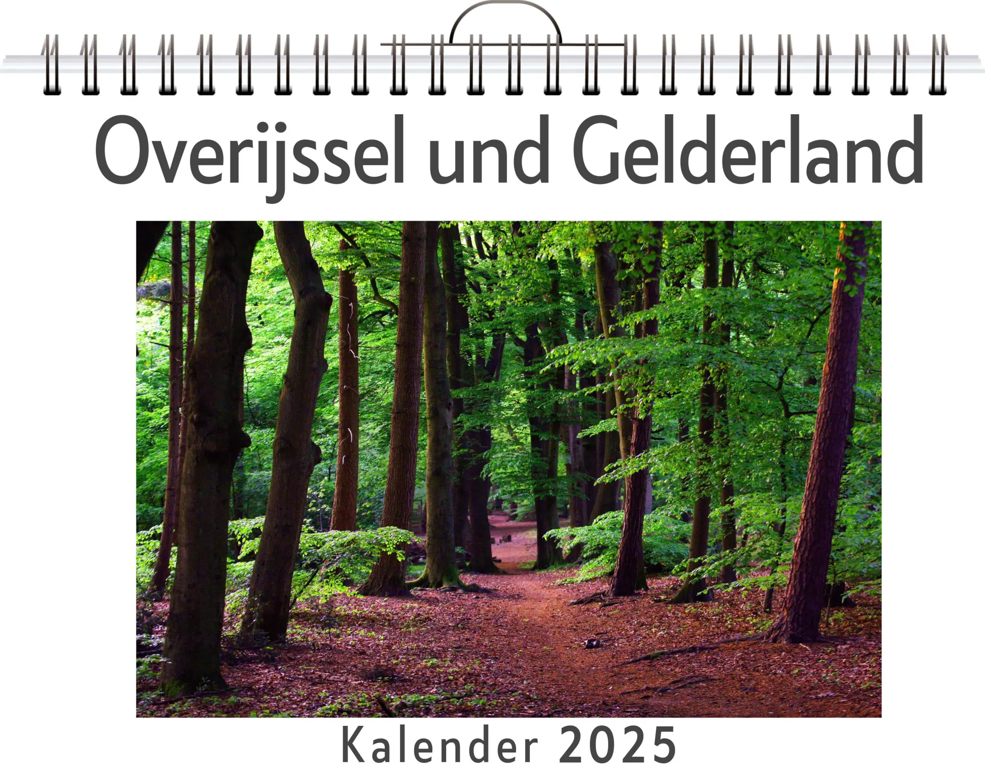 Cover: 9783759134097 | Overijssel und Gelderland | Elias Scholz | Kalender | Kalender | 14 S.