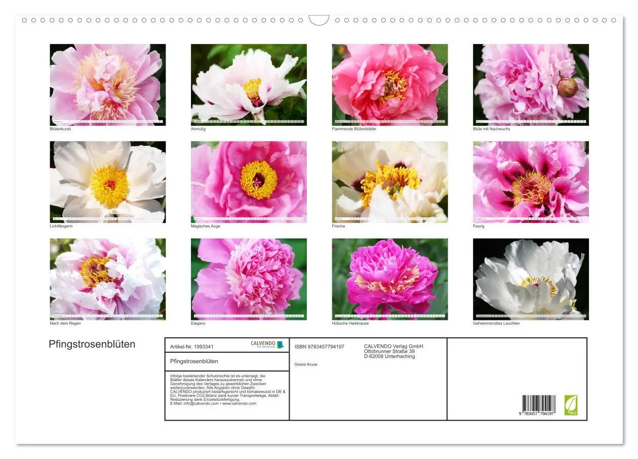 Bild: 9783457794197 | Pfingstrosenblüten (Wandkalender 2026 DIN A2 quer), CALVENDO...