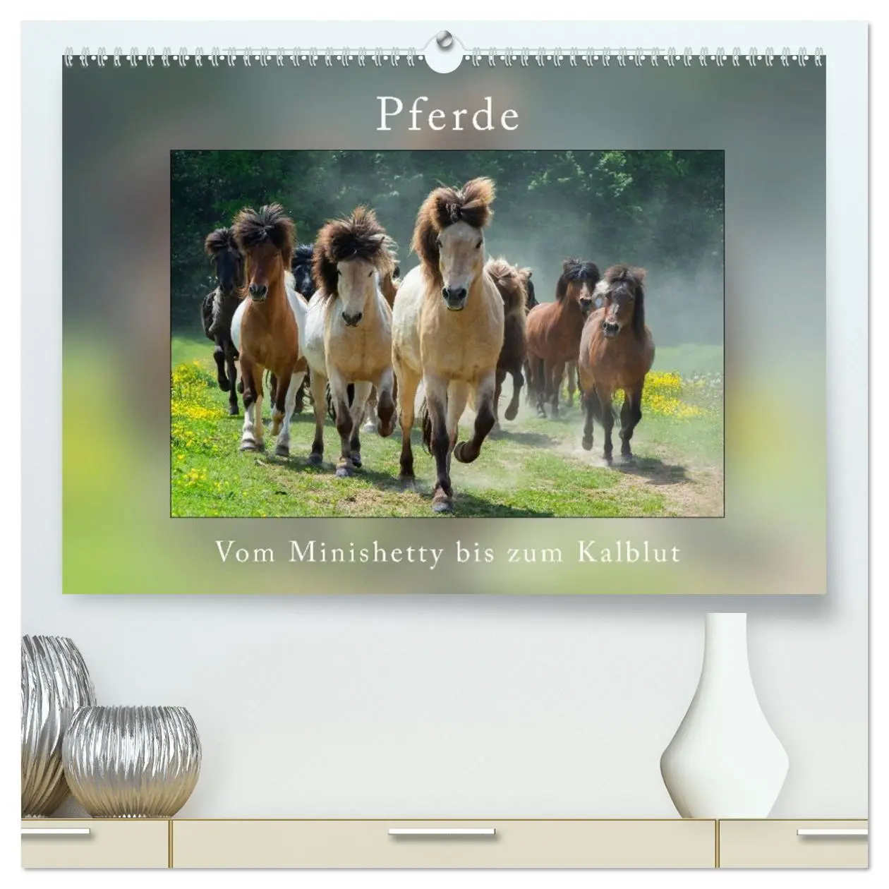 Cover: 9783516024197 | Pferde Vom Minishetty bis zum Kaltblut (hochwertiger Premium...