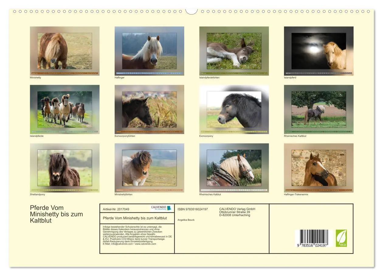Bild: 9783516024197 | Pferde Vom Minishetty bis zum Kaltblut (hochwertiger Premium...