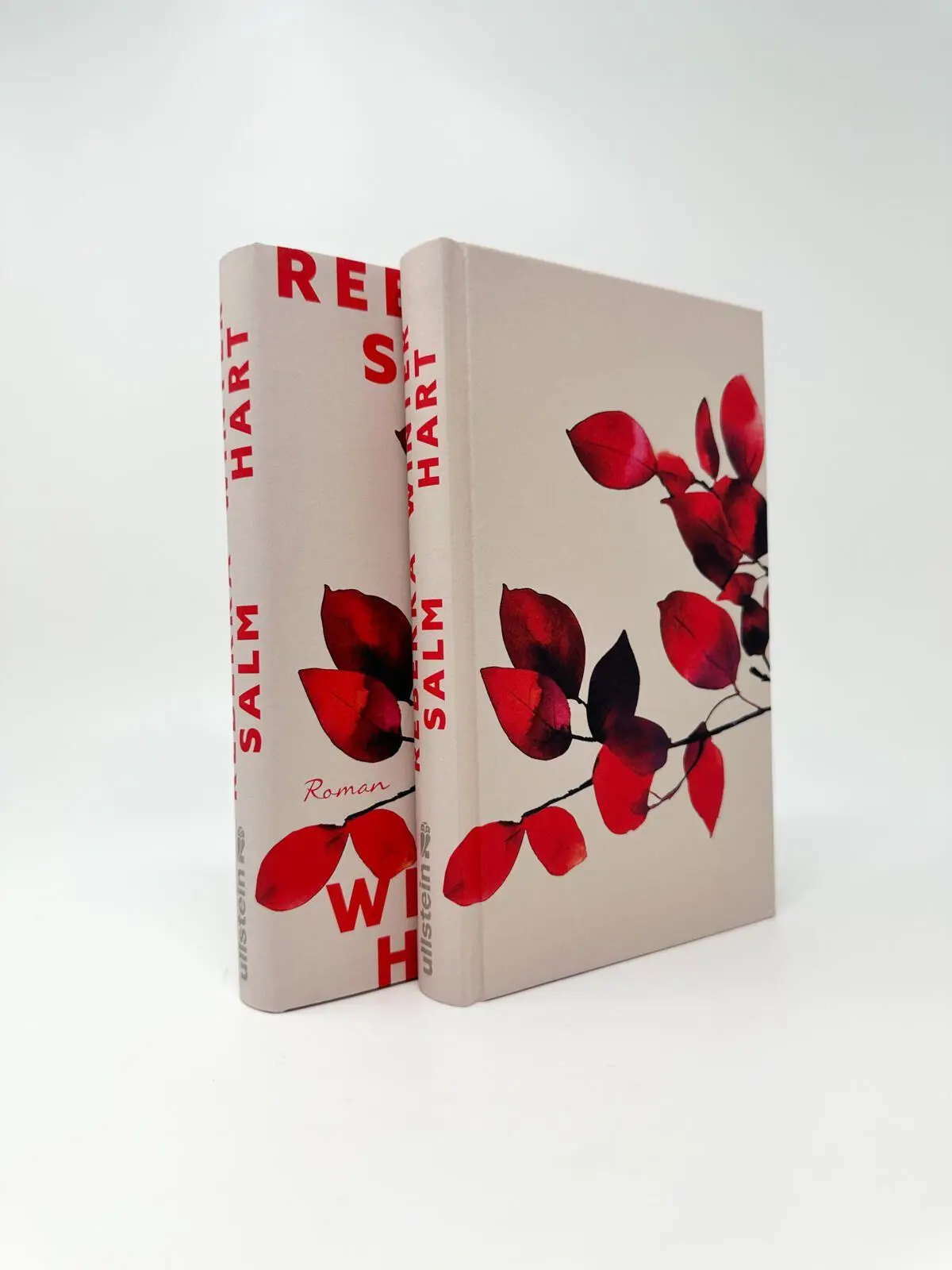 Bild: 9783550204197 | Winterhart | Roman | Rebekka Salm | Buch | 272 S. | Deutsch | 2026