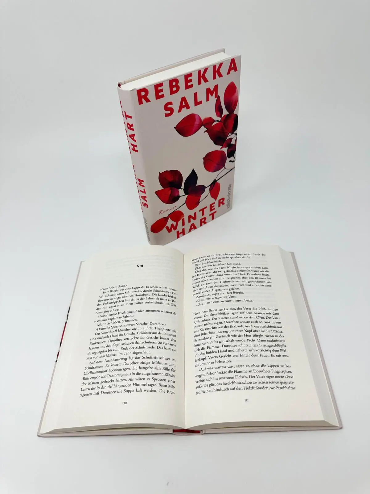 Bild: 9783550204197 | Winterhart | Roman | Rebekka Salm | Buch | 272 S. | Deutsch | 2026