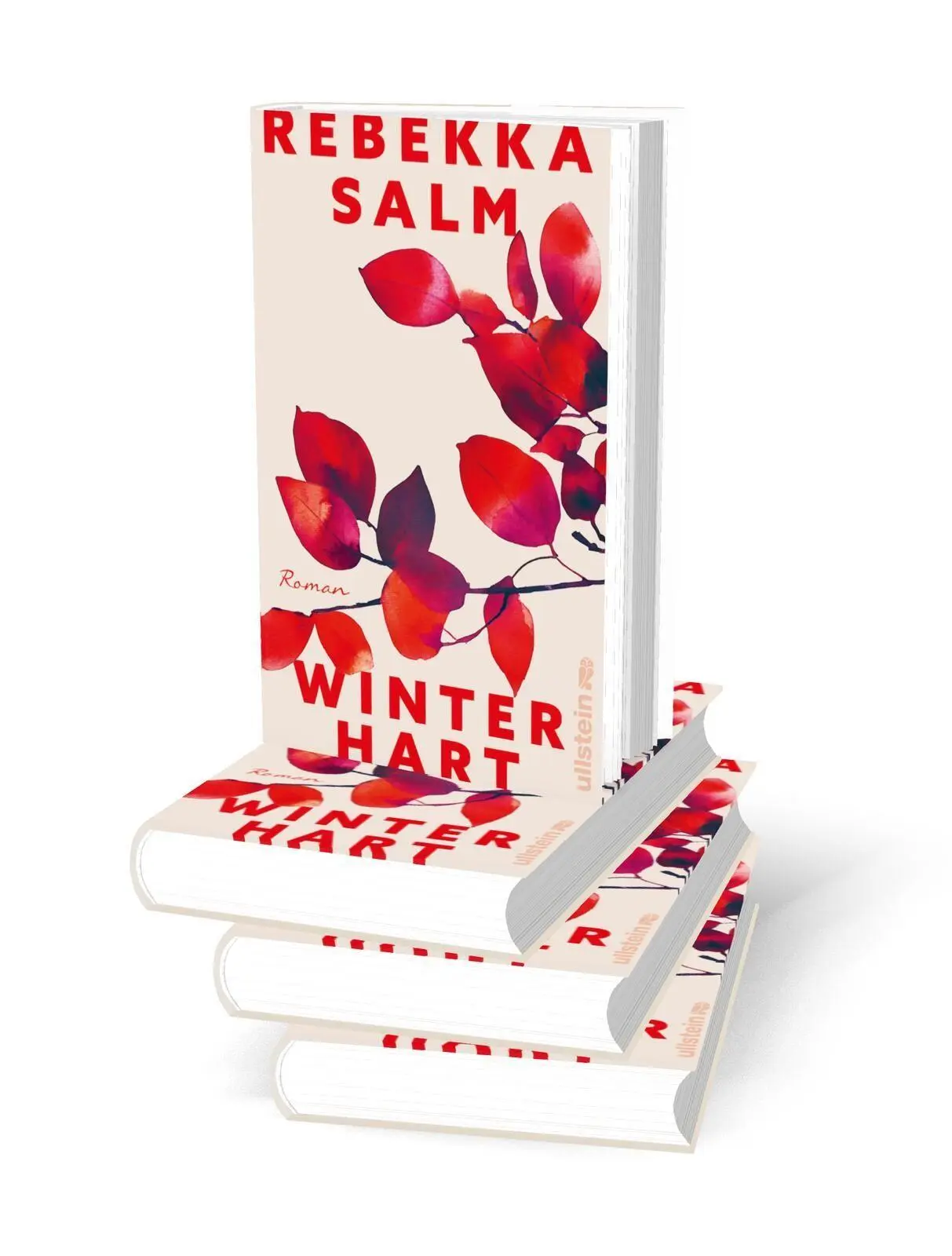 Bild: 9783550204197 | Winterhart | Roman | Rebekka Salm | Buch | 272 S. | Deutsch | 2026