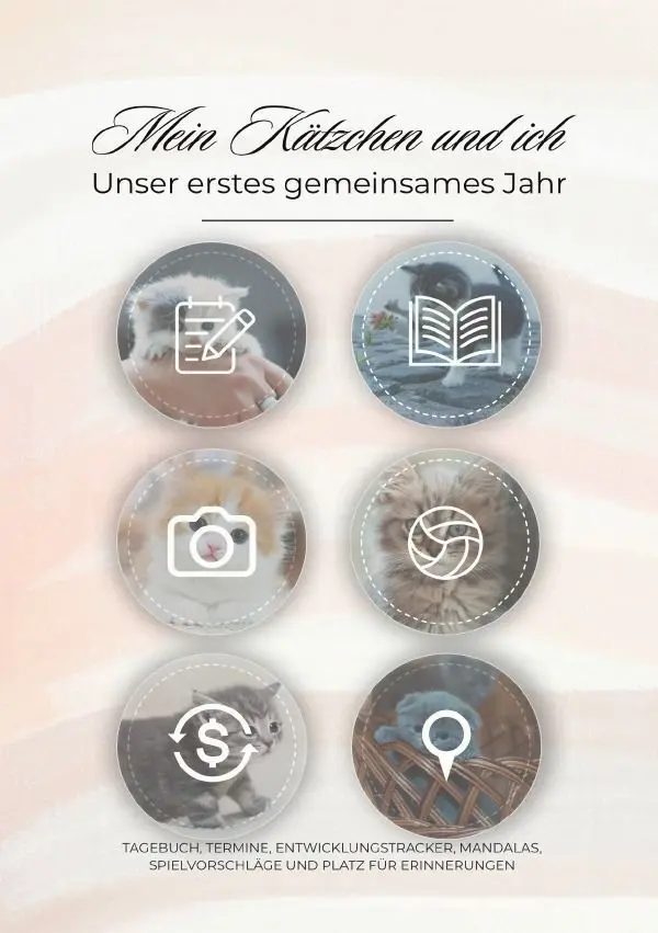 Cover: 9783565534197 | Mein Kätzchen und ich - Unser erstes gemeinsames Jahr | Rosina Wirth