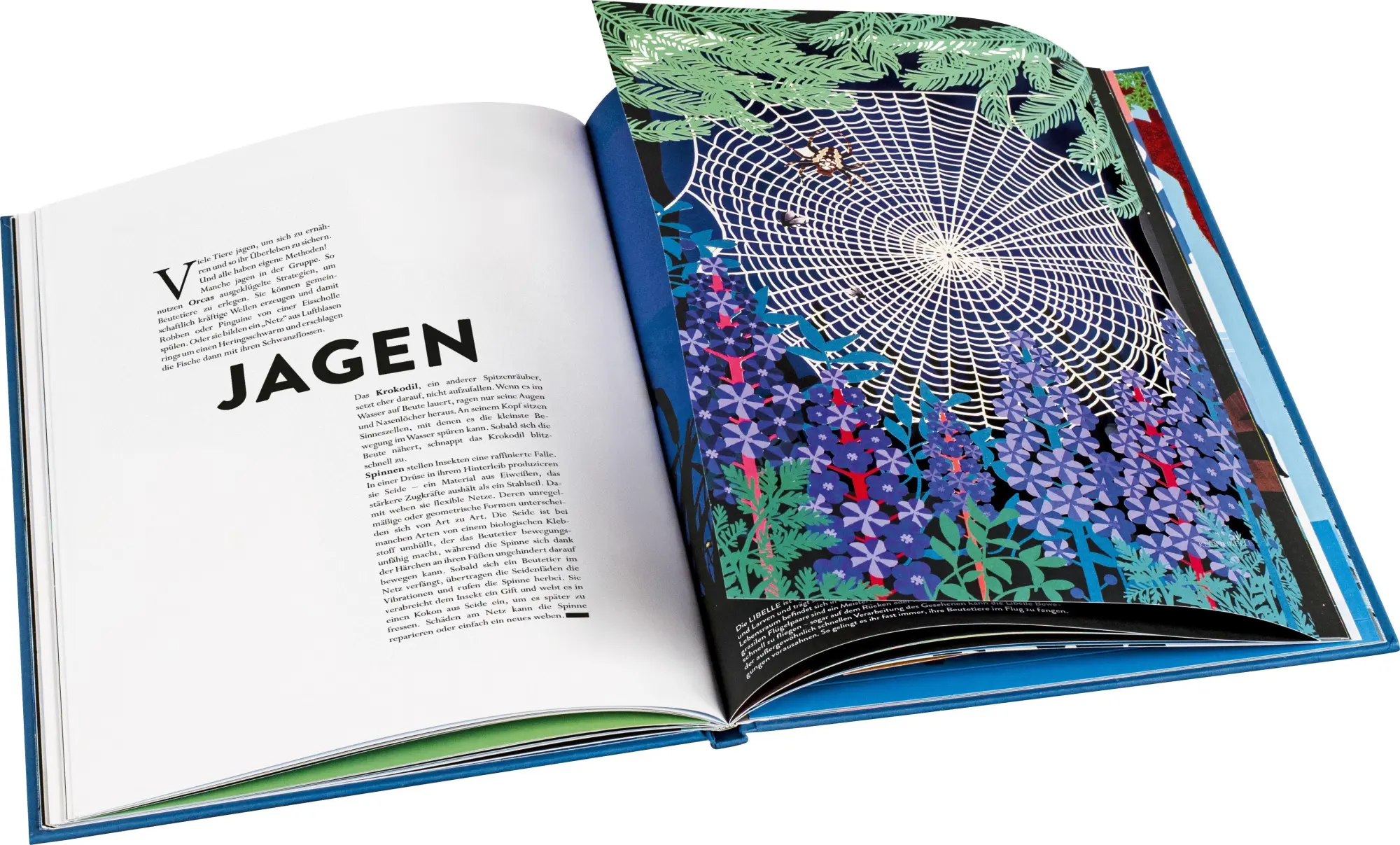 Bild: 9783836964197 | Tiere | Hélène Druvert | Buch | 32 S. | Deutsch | 2026
