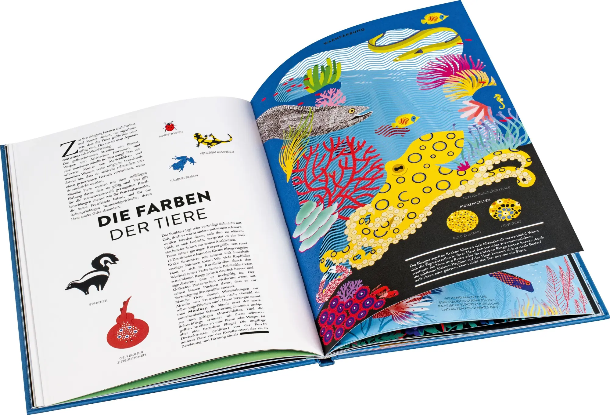 Bild: 9783836964197 | Tiere | Hélène Druvert | Buch | 32 S. | Deutsch | 2026