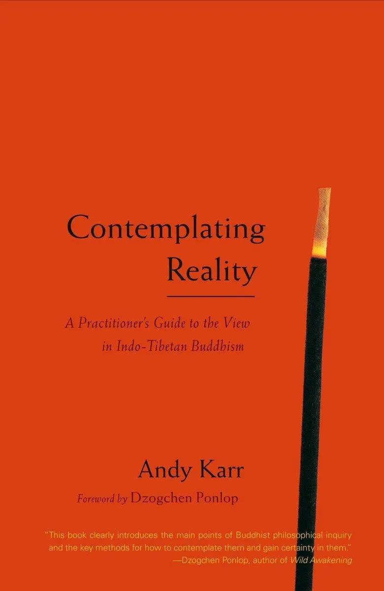 Cover: 9781590304297 | Contemplating Reality: A Practitioner's Guide to the View in...