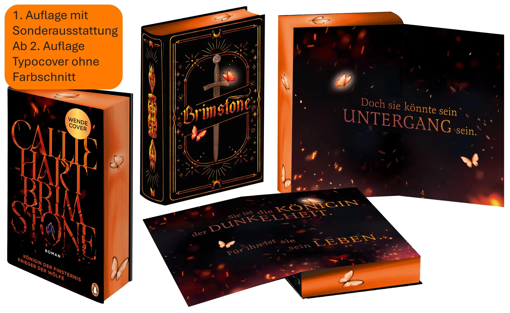 Bild: 9783328604297 | Brimstone - Königin der Finsternis. Krieger der Wölfe | Callie Hart