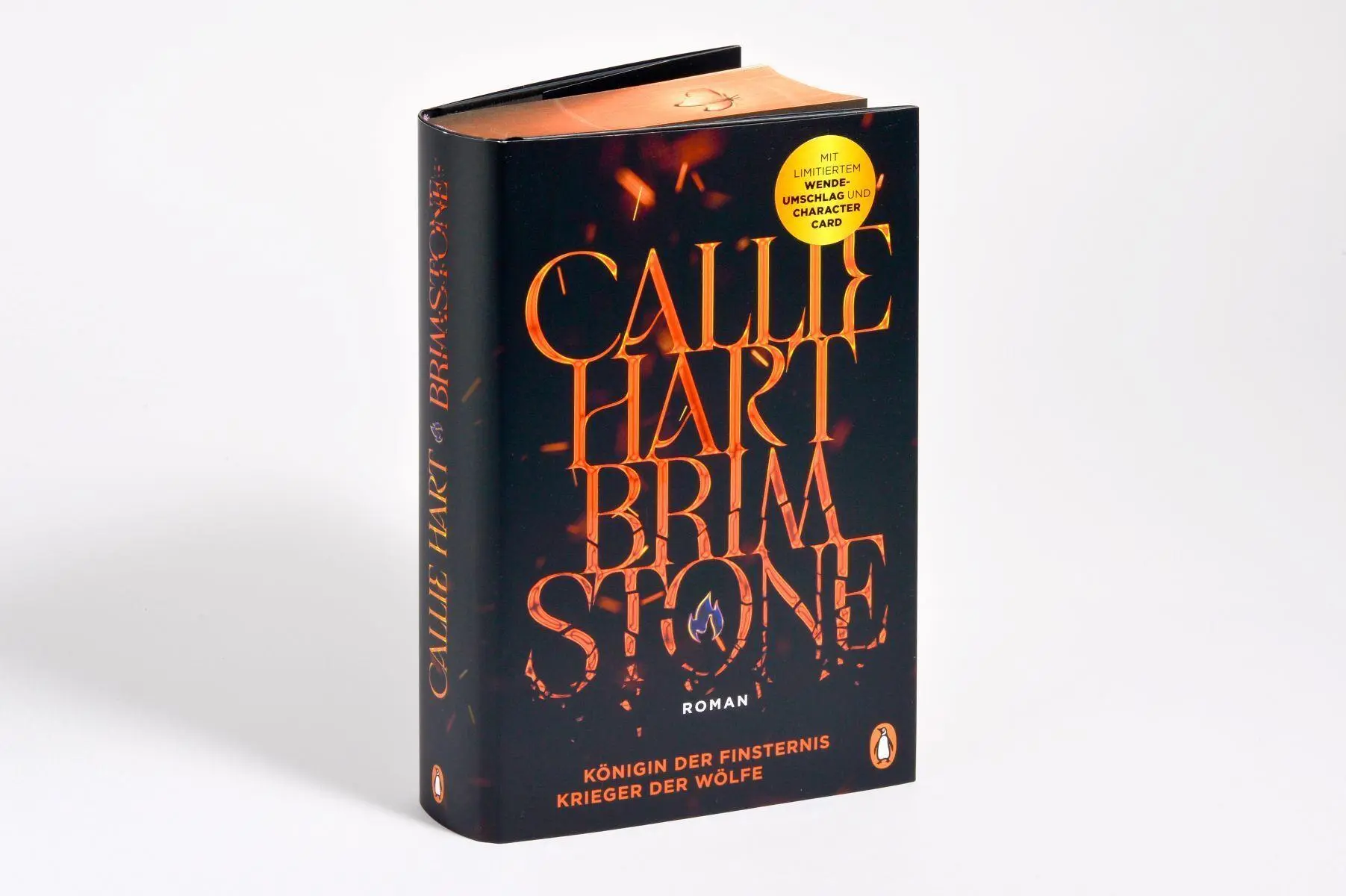 Bild: 9783328604297 | Brimstone - Königin der Finsternis. Krieger der Wölfe | Callie Hart