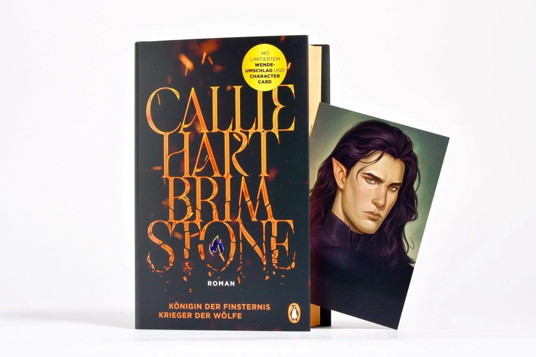 Bild: 9783328604297 | Brimstone - Königin der Finsternis. Krieger der Wölfe | Callie Hart