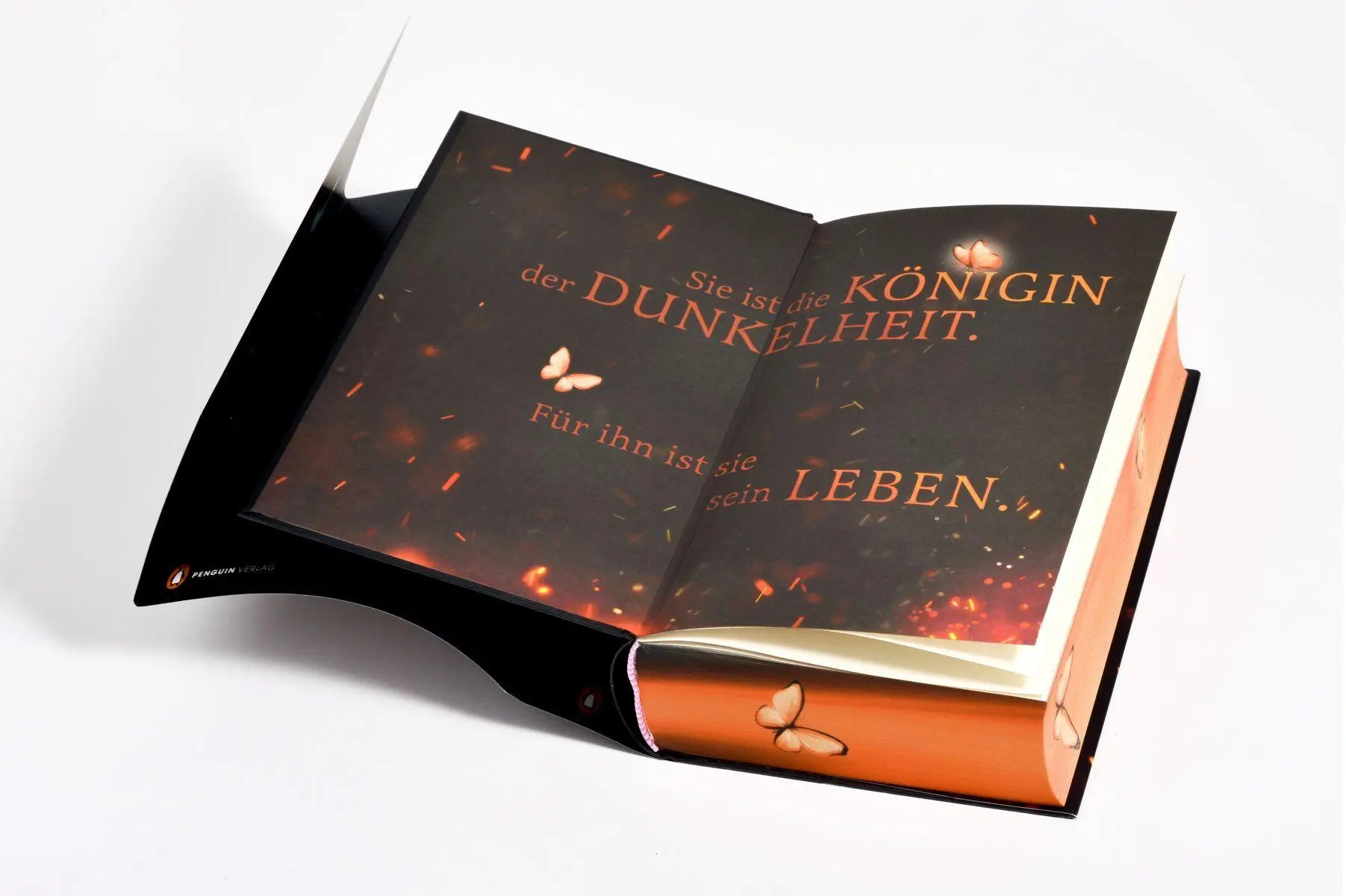 Bild: 9783328604297 | Brimstone - Königin der Finsternis. Krieger der Wölfe | Callie Hart