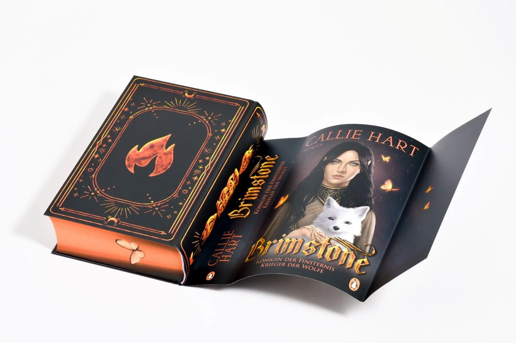 Bild: 9783328604297 | Brimstone - Königin der Finsternis. Krieger der Wölfe | Callie Hart