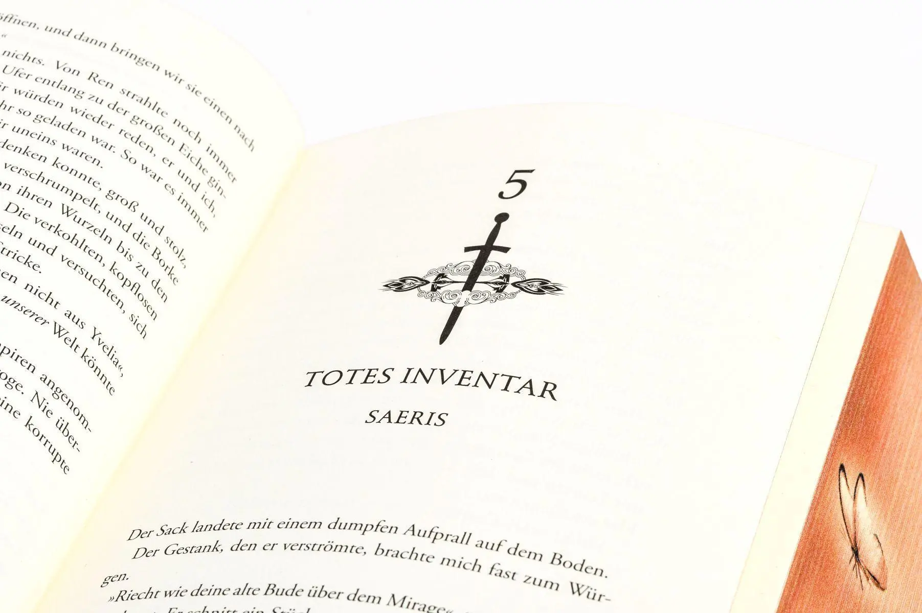 Bild: 9783328604297 | Brimstone - Königin der Finsternis. Krieger der Wölfe | Callie Hart