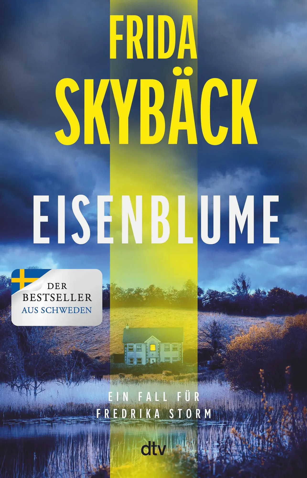 Cover: 9783423264297 | Eisenblume | Frida Skybäck | Taschenbuch | Fredrika Storm | 432 S.