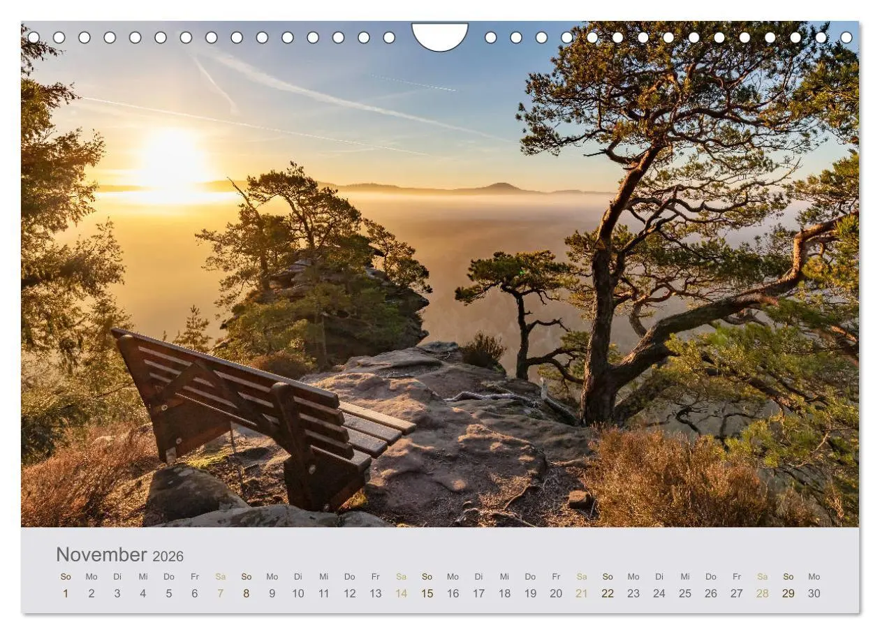 Bild: 9783457784297 | Augenblicke im Pfälzerwald (Wandkalender 2026 DIN A4 quer),...
