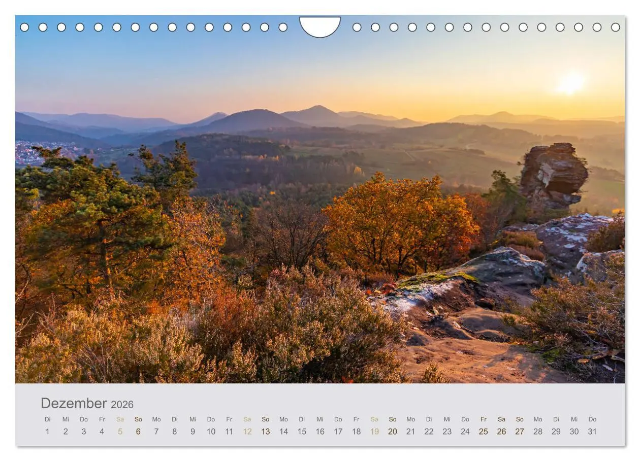 Bild: 9783457784297 | Augenblicke im Pfälzerwald (Wandkalender 2026 DIN A4 quer),...