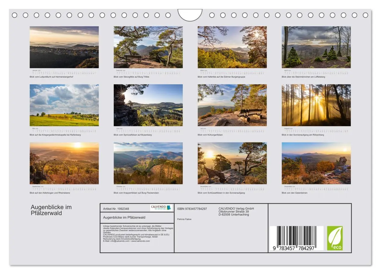 Bild: 9783457784297 | Augenblicke im Pfälzerwald (Wandkalender 2026 DIN A4 quer),...