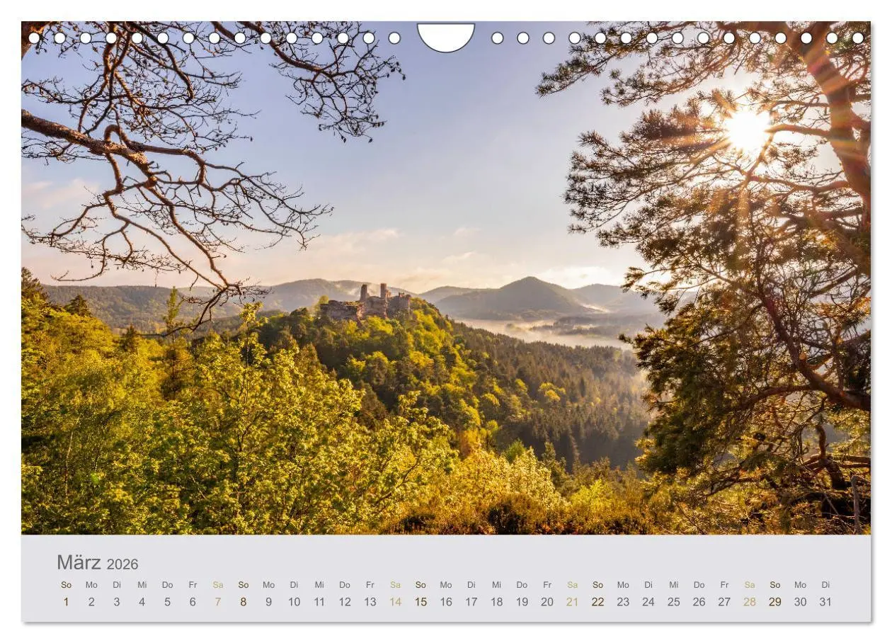 Bild: 9783457784297 | Augenblicke im Pfälzerwald (Wandkalender 2026 DIN A4 quer),...