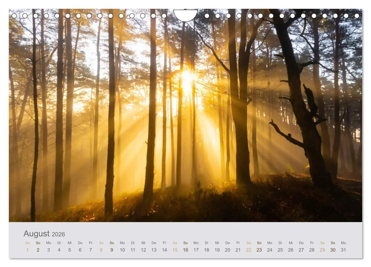 Bild: 9783457784297 | Augenblicke im Pfälzerwald (Wandkalender 2026 DIN A4 quer),...