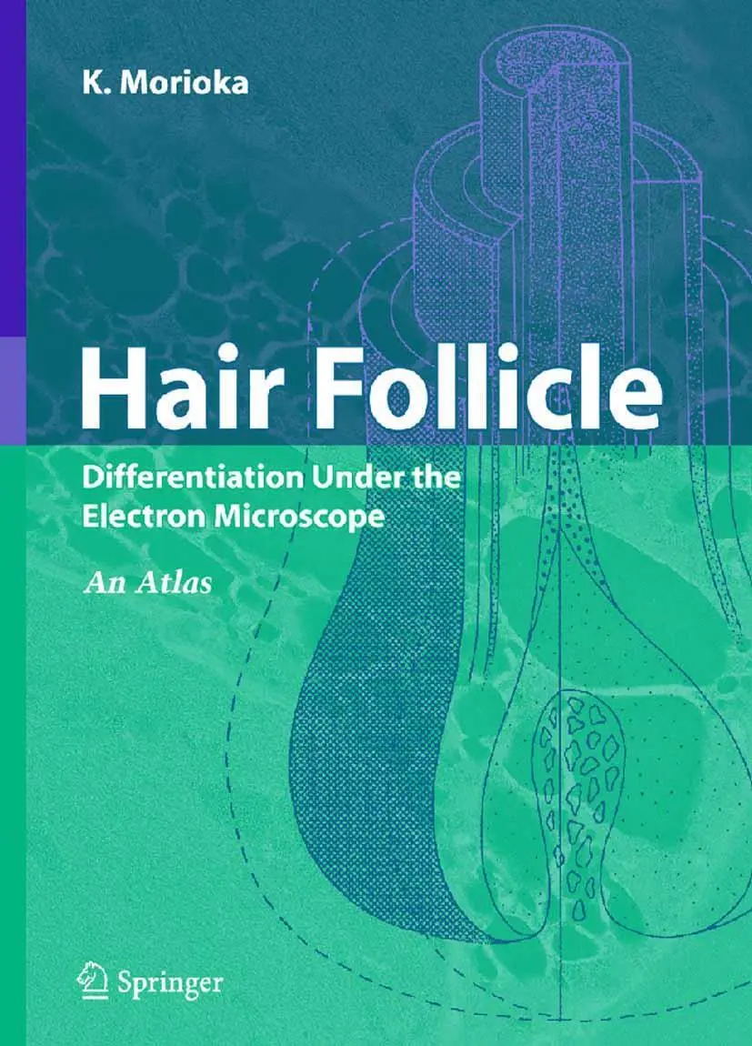 Cover: 9784431224297 | Hair Follicle | K. Morioka | Buch | xiii | Englisch | 2004