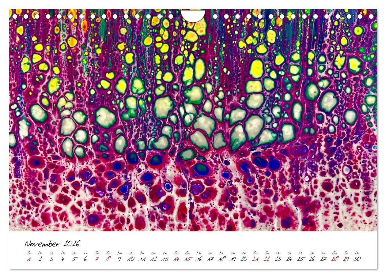 Bild: 9783457534397 | Abstrakte Regenbogen (Wandkalender 2026 DIN A4 quer), CALVENDO...