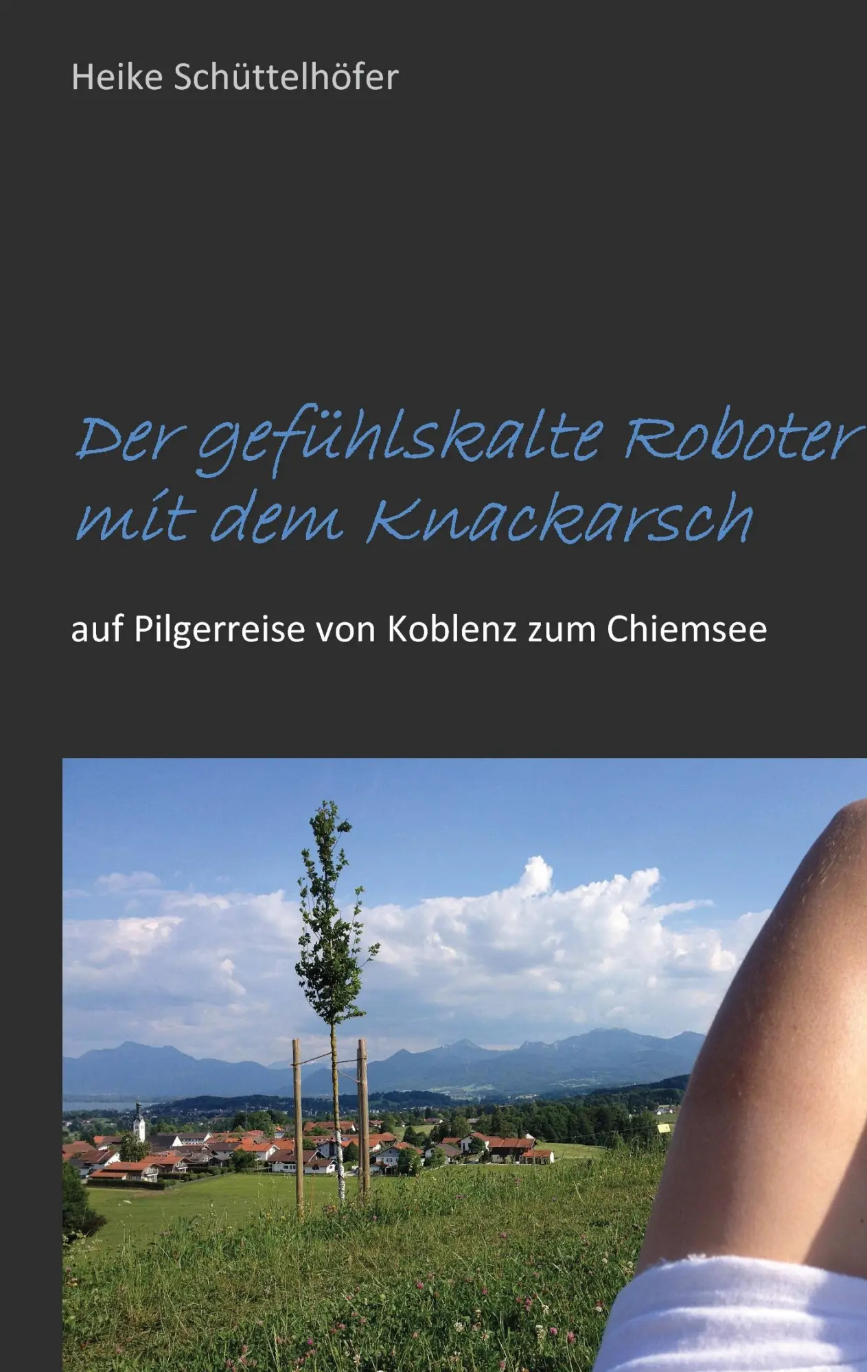 Cover: 9783739234397 | Der gefühlskalte Roboter mit dem Knackarsch | Heike Schüttelhöfer