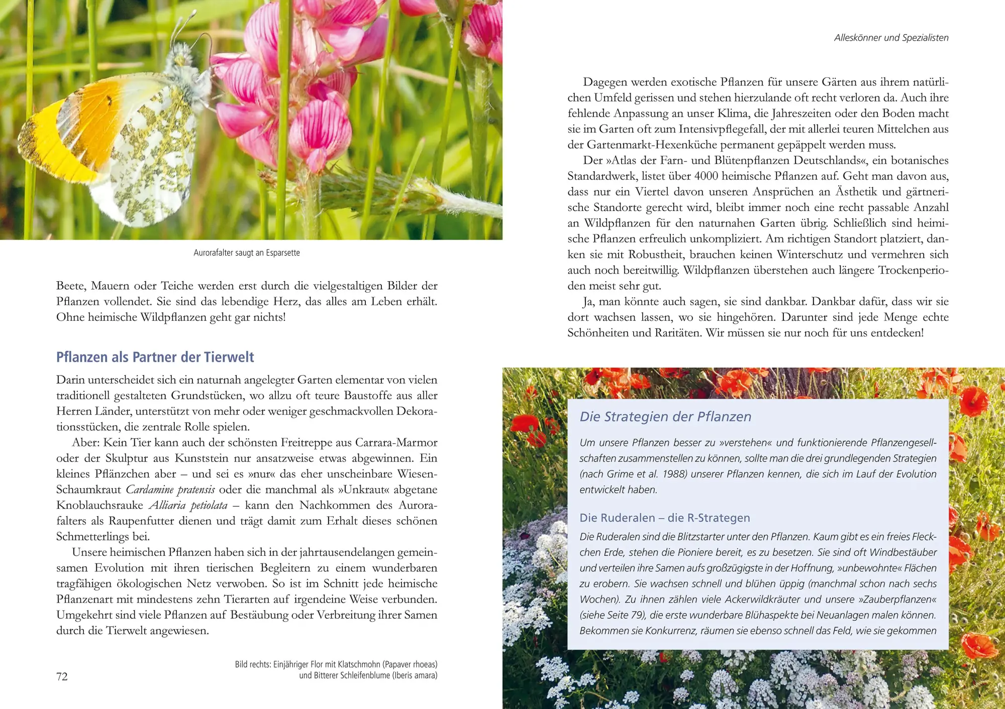 Bild: 9783895664397 | Mein Garten wird ein Naturgarten | Birgit Helbig | Buch | 192 S.