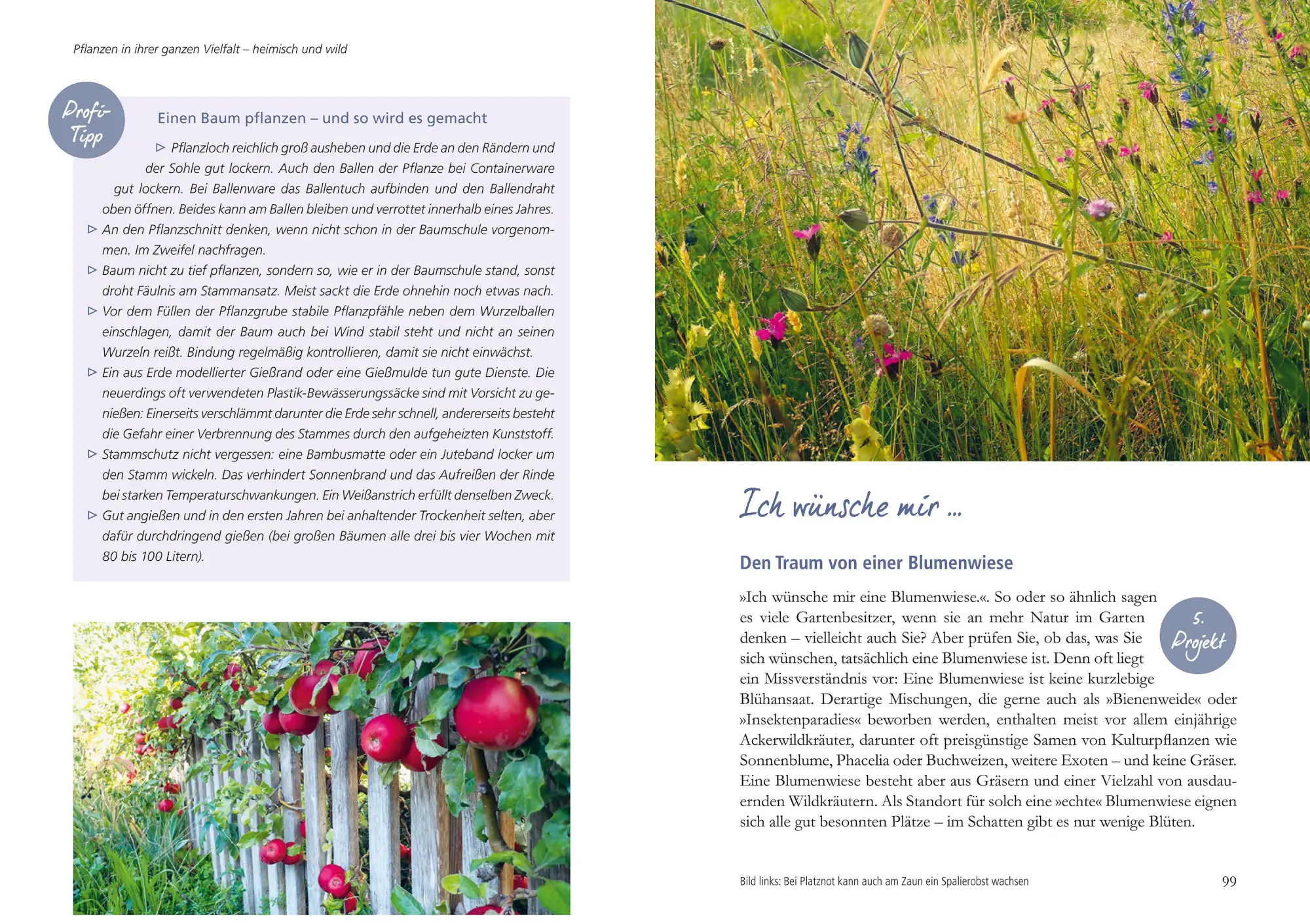 Bild: 9783895664397 | Mein Garten wird ein Naturgarten | Birgit Helbig | Buch | 192 S.