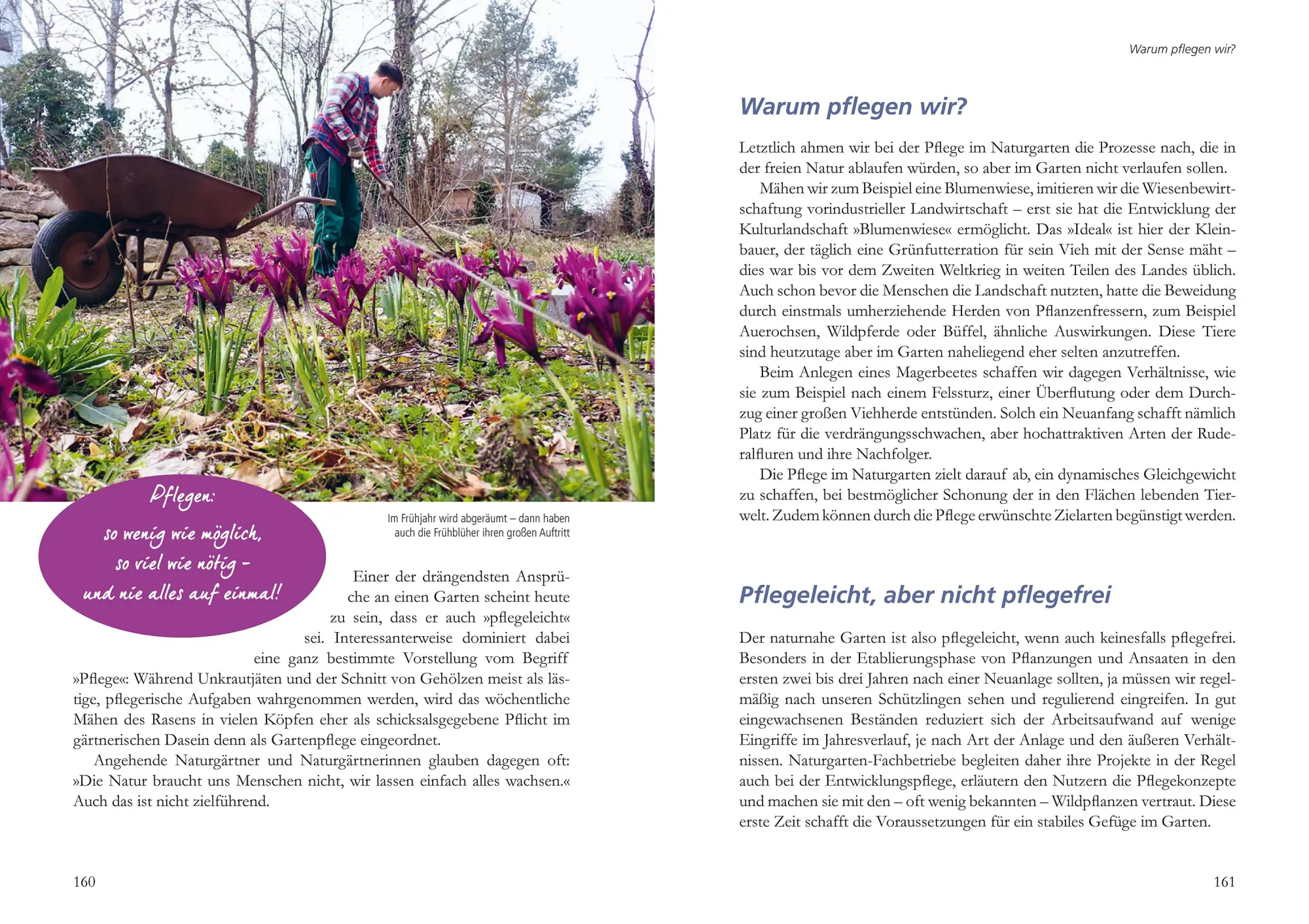 Bild: 9783895664397 | Mein Garten wird ein Naturgarten | Birgit Helbig | Buch | 192 S.